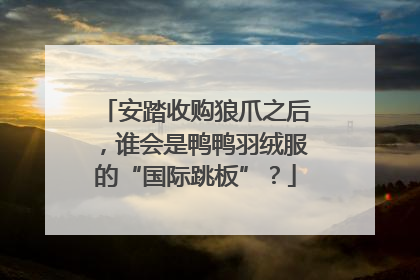 安踏收购狼爪之后，谁会是鸭鸭羽绒服的“国际跳板”？