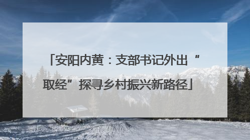 安阳内黄：支部书记外出“取经”探寻乡村振兴新路径