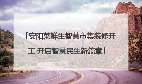 安阳菜鲜生智慧市集装修开工 开启智慧民生新篇章