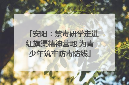 安阳：禁毒研学走进红旗渠精神营地 为青少年筑牢防毒防线