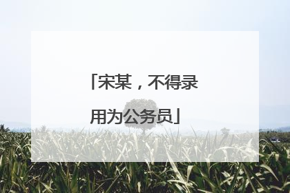 宋某，不得录用为公务员