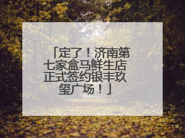 定了！济南第七家盒马鲜生店正式签约银丰玖玺广场！