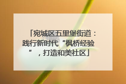 宛城区五里堡街道：践行新时代“枫桥经验”，打造和美社区