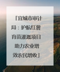 宜城市审计局：护航红薯育苗灌溉项目 助力农业增效农民增收