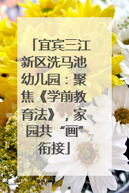 宜宾三江新区洗马池幼儿园：聚焦《学前教育法》，家园共“画”衔接