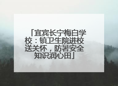 宜宾长宁梅白学校：镇卫生院进校送关怀，防暑安全知识润心田