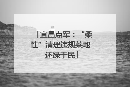 宜昌点军：“柔性”清理违规菜地 还绿于民