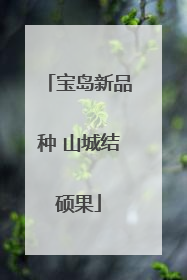 宝岛新品种 山城结硕果