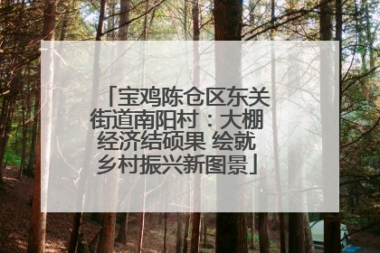 宝鸡陈仓区东关街道南阳村：大棚经济结硕果 绘就乡村振兴新图景