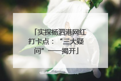 实探杨泗港网红打卡点：“三大疑问”一一揭开