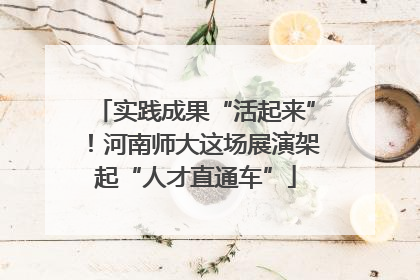 实践成果“活起来”！河南师大这场展演架起“人才直通车”