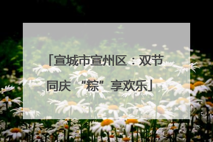 宣城市宣州区：双节同庆 “粽”享欢乐