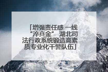 增强责任感 一线“淬真金” 湖北司法行政系统锻造高素质专业化干警队伍