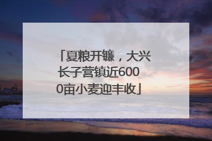 夏粮开镰，大兴长子营镇近6000亩小麦迎丰收