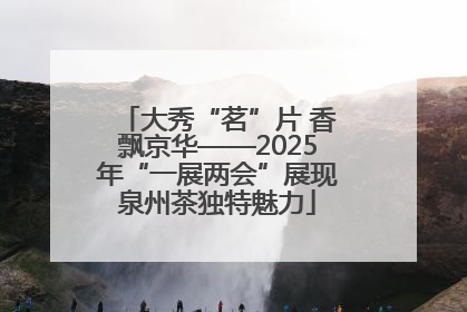 大秀“茗”片 香飘京华——2025年“一展两会”展现泉州茶独特魅力