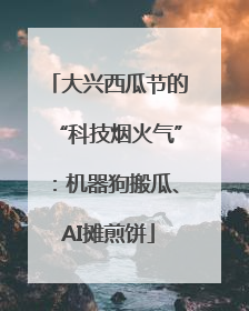 大兴西瓜节的“科技烟火气”：机器狗搬瓜、AI摊煎饼