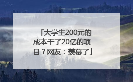 大学生200元的成本干了20亿的项目？网友：羡慕了