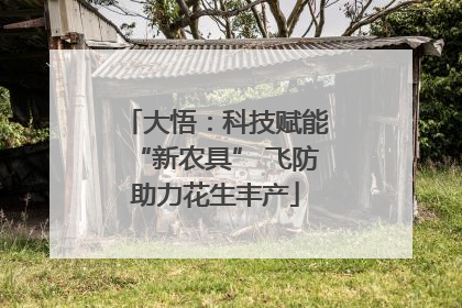 大悟：科技赋能“新农具” 飞防助力花生丰产