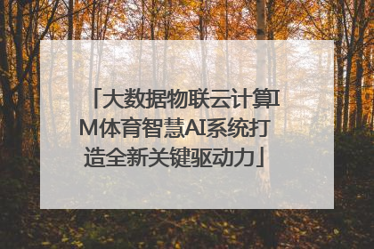大数据物联云计算IM体育智慧AI系统打造全新关键驱动力