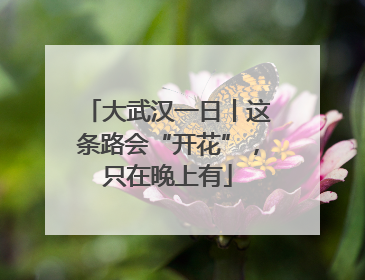 大武汉一日丨这条路会“开花”，只在晚上有
