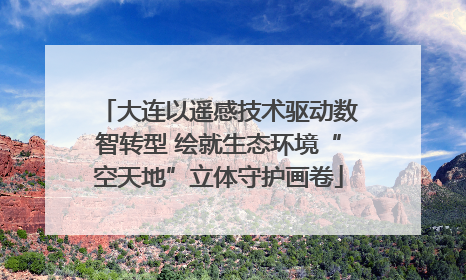 大连以遥感技术驱动数智转型 绘就生态环境“空天地”立体守护画卷