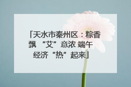 天水市秦州区：粽香飘 “艾”意浓 端午经济“热”起来
