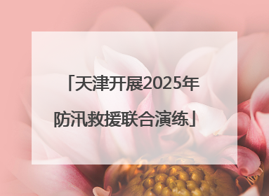 天津开展2025年防汛救援联合演练