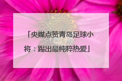 央媒点赞青岛足球小将：踢出最纯粹热爱