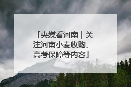 央媒看河南｜关注河南小麦收购、高考保障等内容