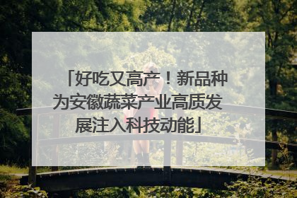 好吃又高产！新品种为安徽蔬菜产业高质发展注入科技动能