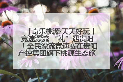 奇乐桃源·天天好玩丨竞速漂流 “礼”遇贵阳！全民漂流竞速赛在贵阳产控集团旗下桃源生态旅游度假区举行