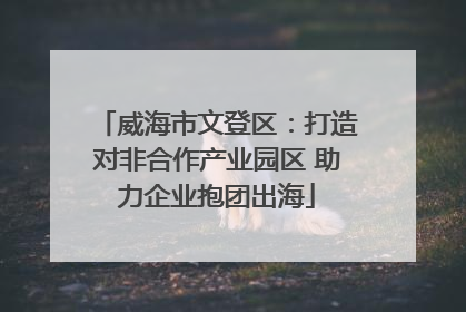威海市文登区：打造对非合作产业园区 助力企业抱团出海