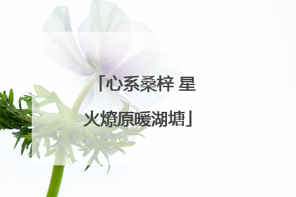 心系桑梓 星火燎原暖湖塘
