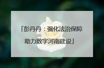 彭丹丹：强化法治保障 助力数字河南建设