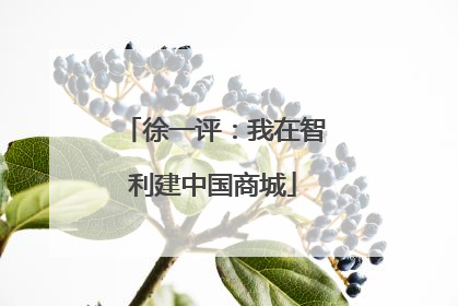 徐一评：我在智利建中国商城
