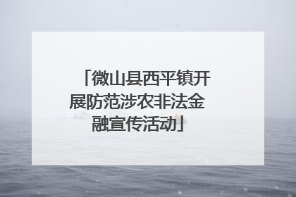 微山县西平镇开展防范涉农非法金融宣传活动