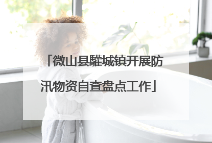 微山县驩城镇开展防汛物资自查盘点工作