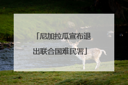 尼加拉瓜宣布退出联合国难民署