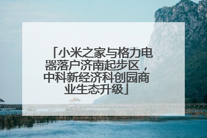 小米之家与格力电器落户济南起步区，中科新经济科创园商业生态升级