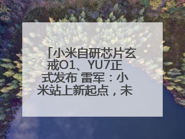 小米自研芯片玄戒O1、YU7正式发布 雷军：小米站上新起点，未来五年研发翻倍再投2000亿元