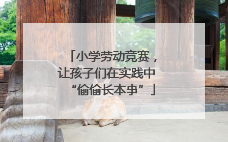 小学劳动竞赛，让孩子们在实践中“偷偷长本事”