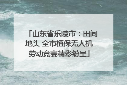 山东省乐陵市：田间地头 全市植保无人机劳动竞赛精彩纷呈