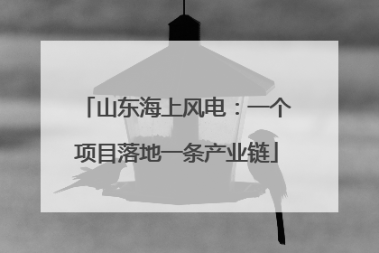 山东海上风电：一个项目落地一条产业链