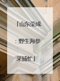 山东荣成：野生海参采捕忙