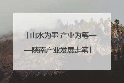 山水为墨 产业为笔——陕南产业发展走笔