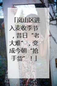 岚山区进入麦收季节，昔日“老大难”，变成今朝“抢手货”！