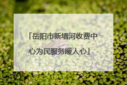 岳阳市新墙河收费中心为民服务暖人心