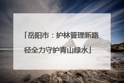 岳阳市：护林管理新路径全力守护青山绿水