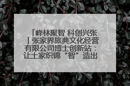 峰林聚智 科创兴张丨张家界旅典文化经营有限公司博士创新站：让土家织锦“智”造出非遗新传奇
