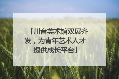 川音美术馆双展齐发，为青年艺术人才提供成长平台